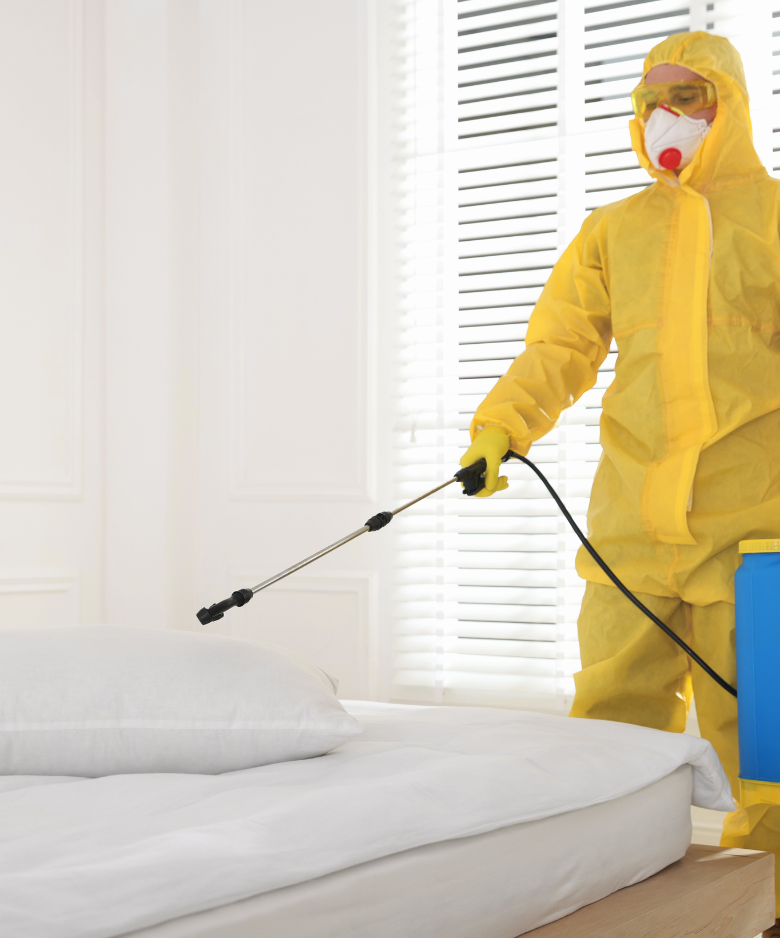 Professional Pest Control Team in Campbelltown